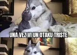 Tal vez por eso no tengo amigos