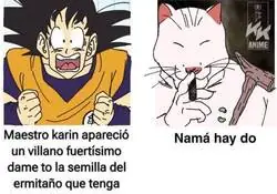 &iquest;Por qu&eacute; hab&iacute;an tan pocas?