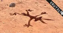 Coyote vs Acme presenta nuevos avances de cara a su estreno