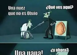 &iexcl;Es claramente una nuez!