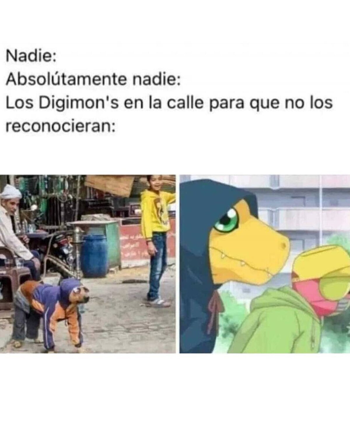 Nadie sospecha absolutamente nada