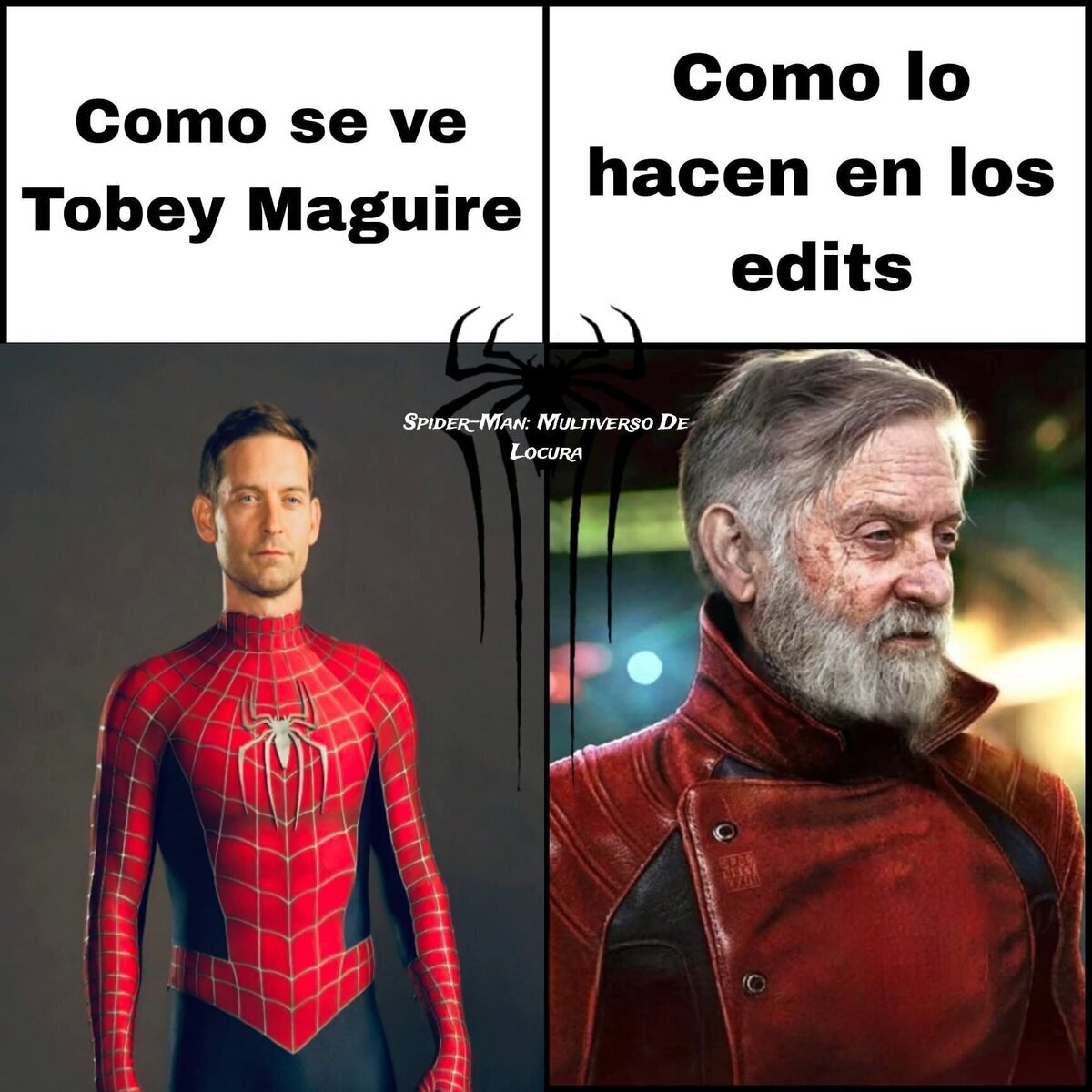 Como un veterano curtido