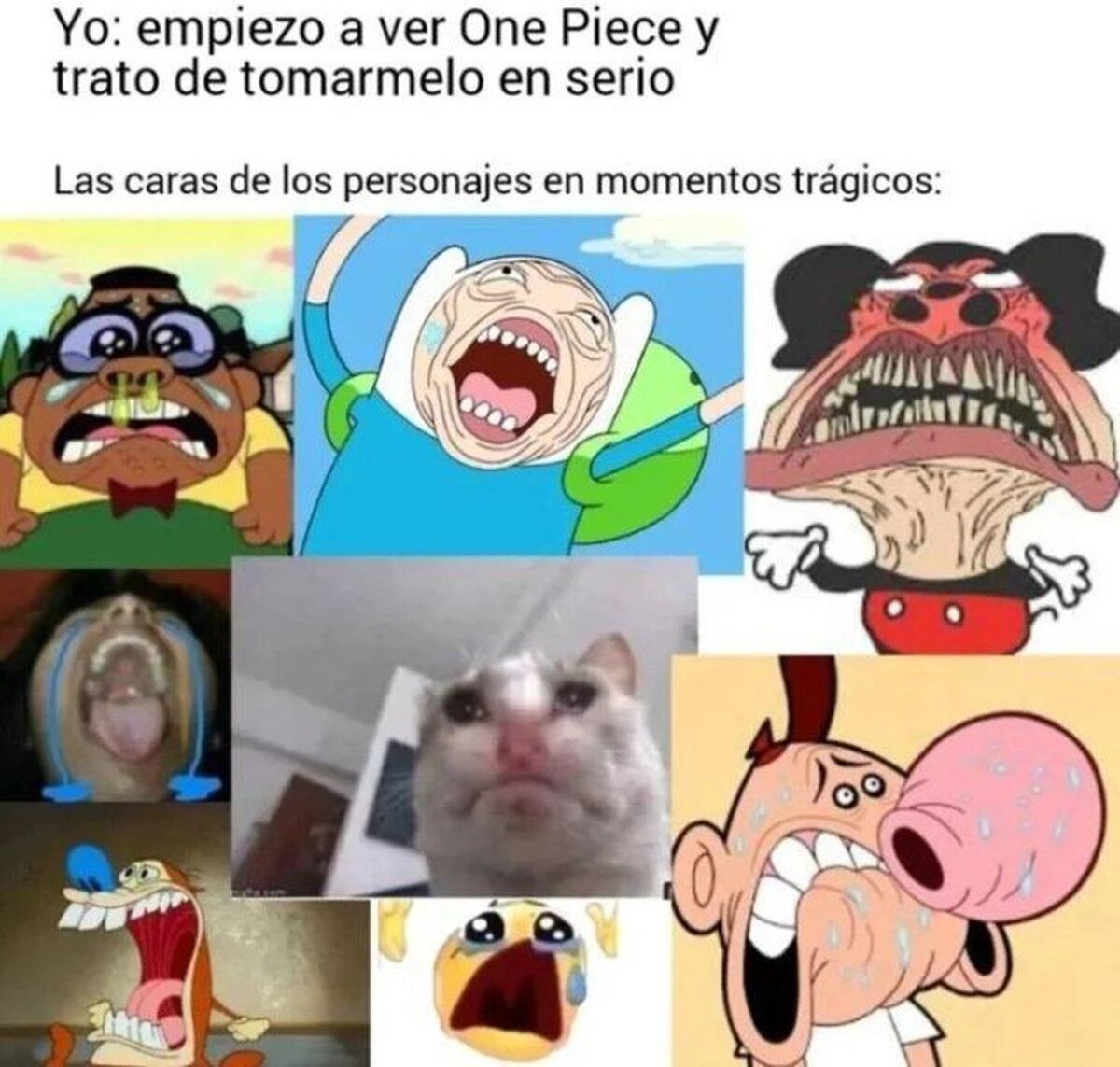 No puedo ver One Piece con seriedad