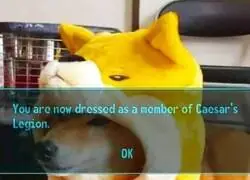 Para no parecer un cr&aacute;pula