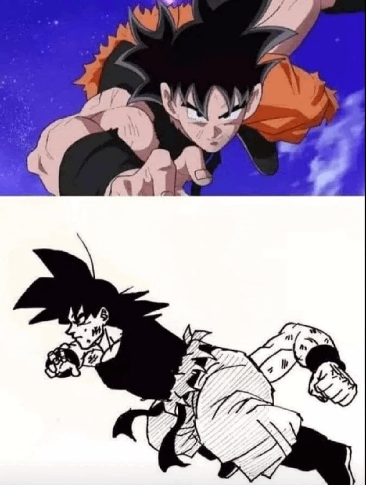 La anatomía de un Saiyan