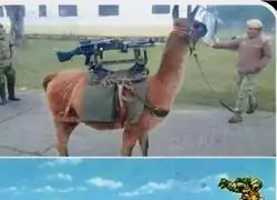 Ah, si. El camello t&aacute;ctico