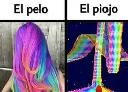 Tremendo viaje el del piojo