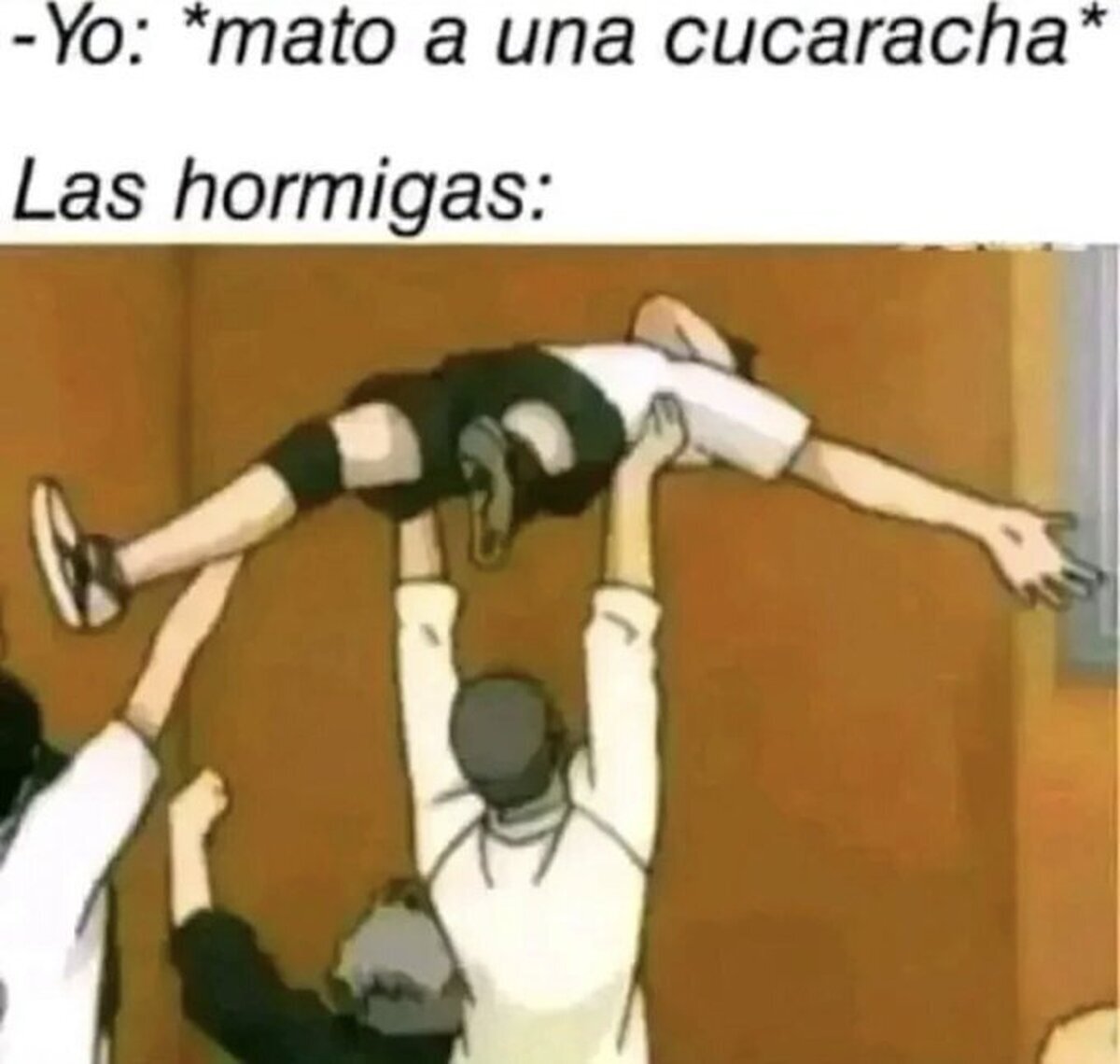 Como si fueran a sacrificarlo a un altar