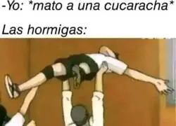 Como si fueran a sacrificarlo a un altar