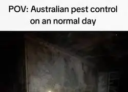 Un d&iacute;a tranquilo en Australia