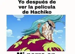 Perd&oacute;n, amigo.