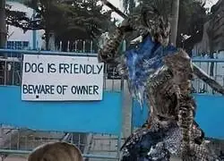 El perro es manso, el due&ntilde;o no