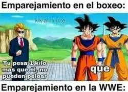 &iquest;Seguro que no necesitan categor&iacute;as?