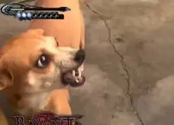 Tal que as&iacute; recuerdo Bayonetta