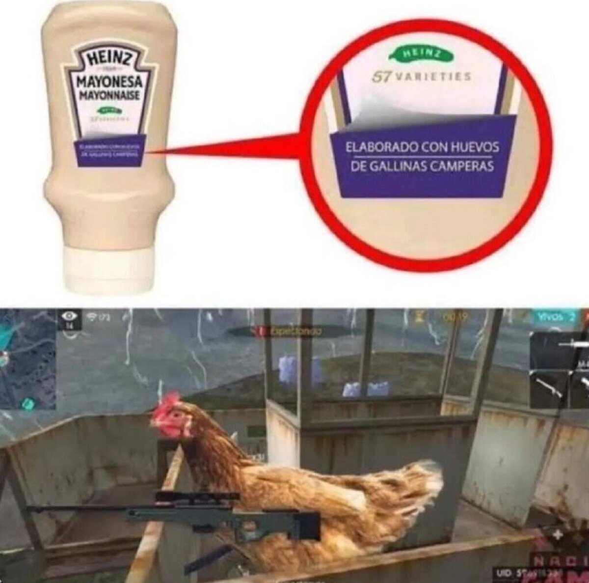 Malditas gallinas camperas..