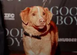 Esto es hist&oacute;rico