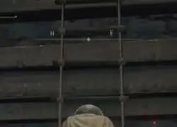 No se que es este bug, pero me encanta