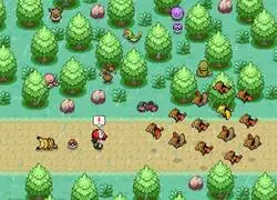 El momento en que se hizo canon