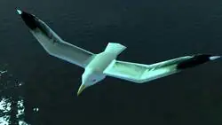 La animaci&oacute;n de las gaviotas en GTA IV