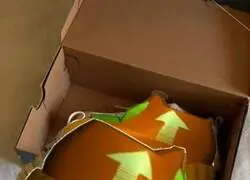 Miren las Jordans que me acaban de llegar