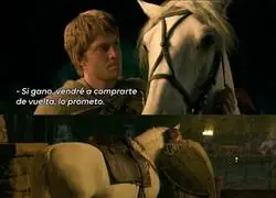 Los caballos pueden ser fieles amigos