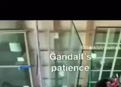 Pippin cabrea a quien sea