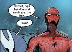 &iquest;No tienes m&aacute;s que decir, Hornet?