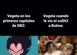 &iquest;Podemos realmente culpar a Vegeta?