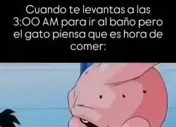 Que fiel es el gato.