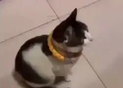 Momentos de tensi&oacute;n en el L4D