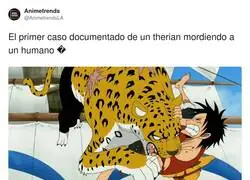 El primer caso documentado de un therian mordiendo a un humano