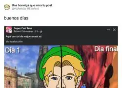 El contenido de calidaed de Link