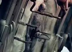 "Suena el himno" - Un pibe que no desayun&oacute;: