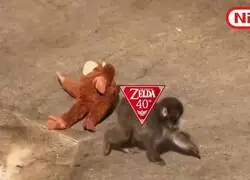 Ya me puse triste. &iquest;Estas contento, Nintendo?