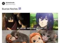 Objetos de apoyo emocional