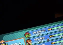 Aqu&iacute; hay otro experto en motes