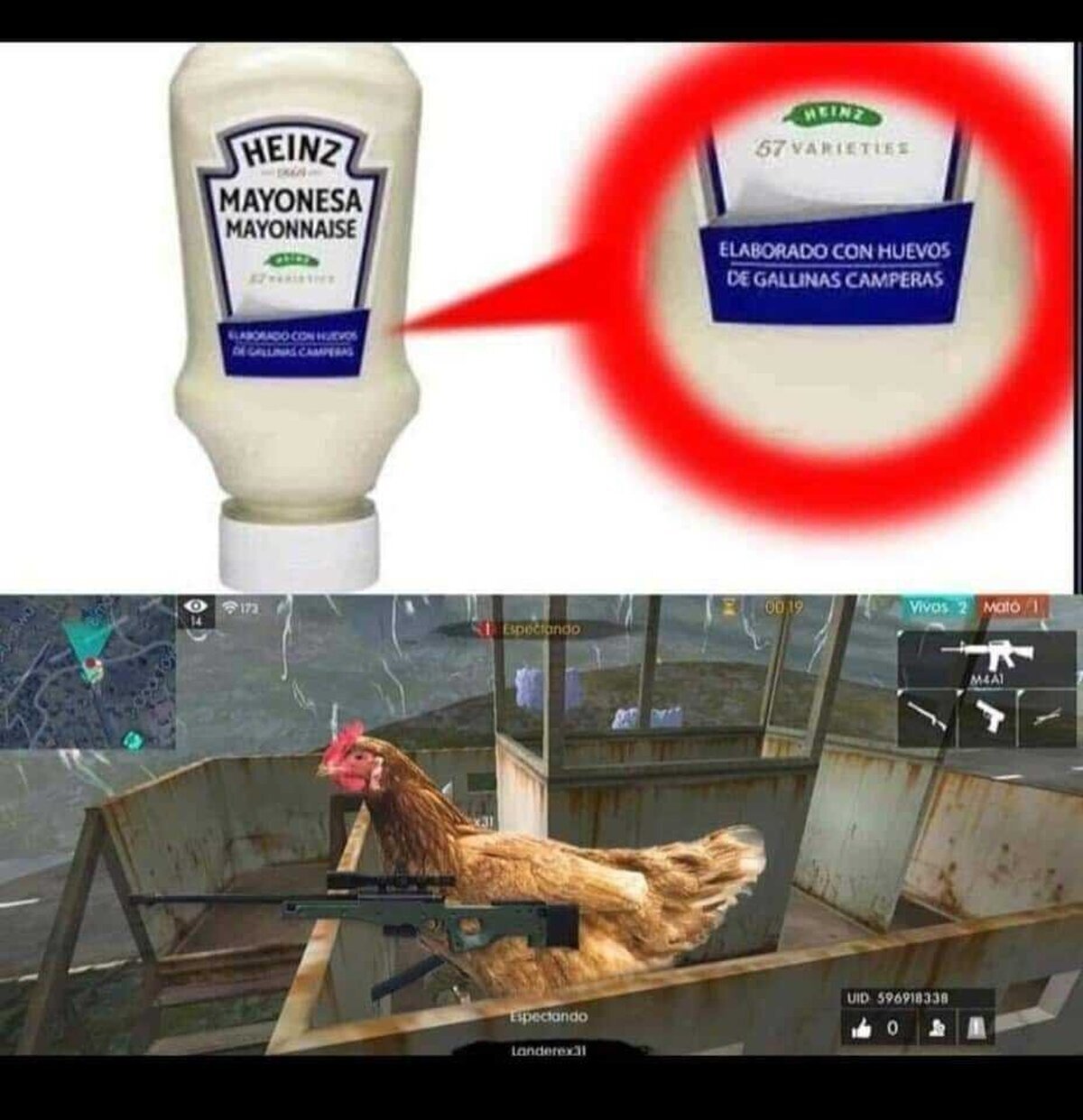 Son las peores gallinas