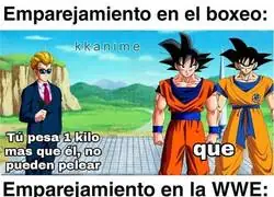 En el boxeo te miden por kilos&hellip; en la WWE te miden por fe