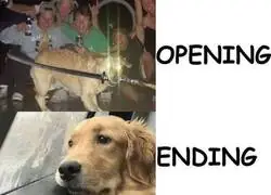 Y ambos son geniales