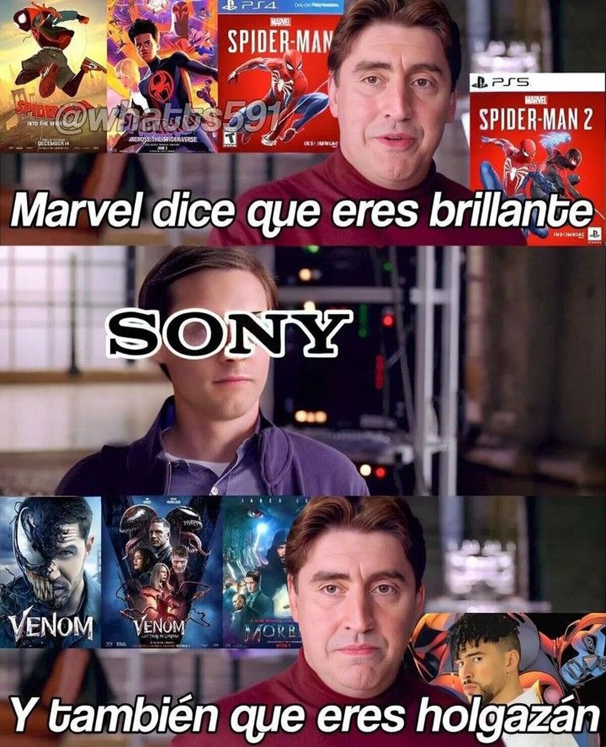 Las dos caras de Sony