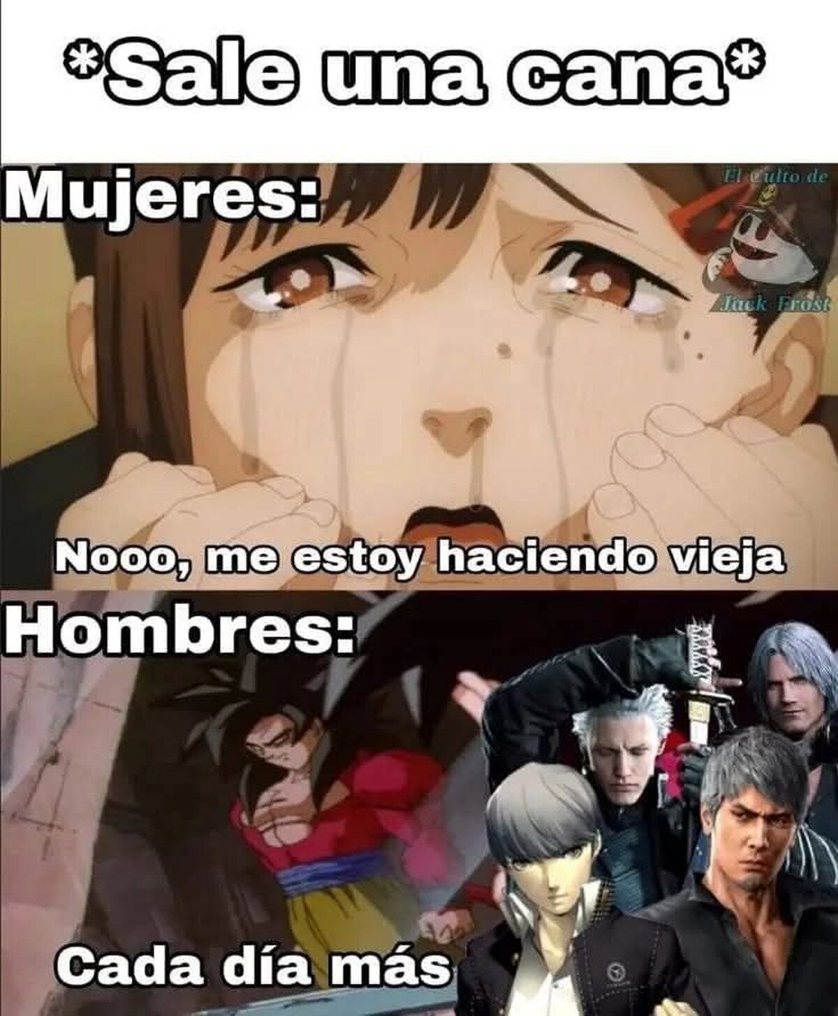 El aura del pelo blanco