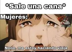 El aura del pelo blanco