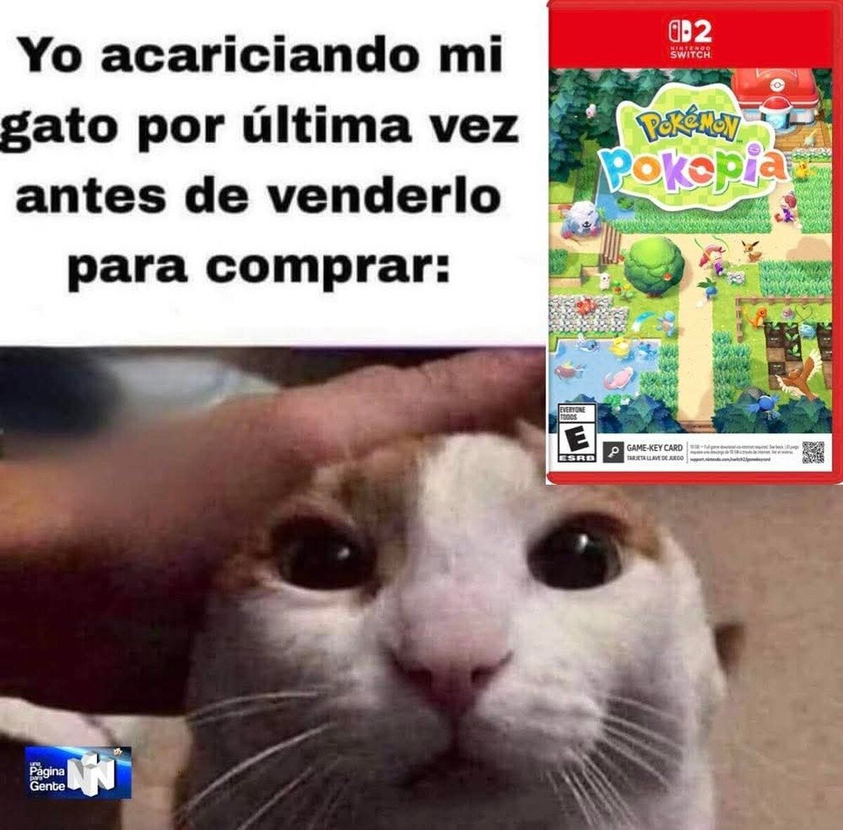 Lo siento, pelusa.