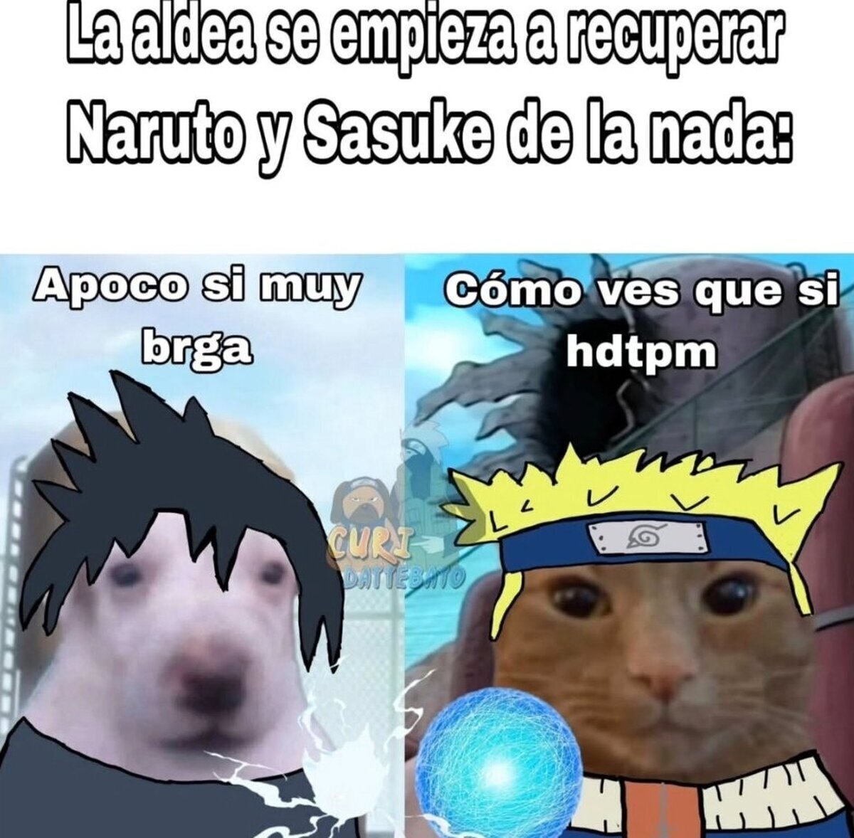 Estos dos siempre tienen cuentas pendientes.