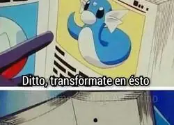 Ditto siguiendo instrucciones