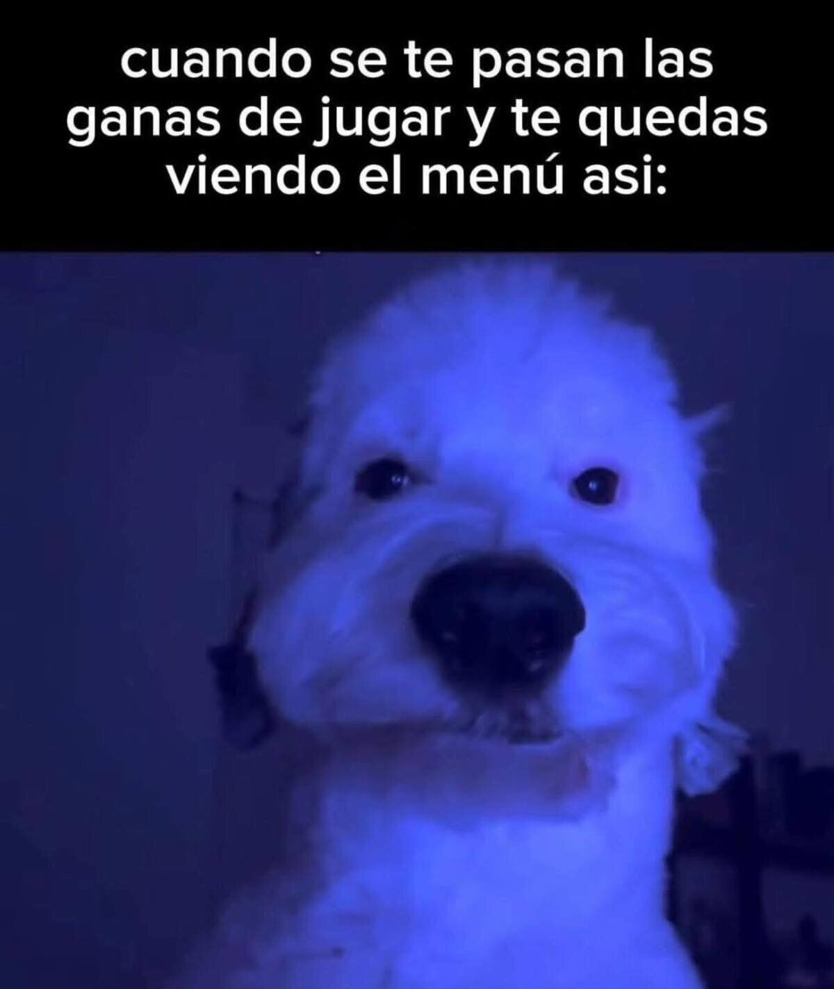 Un peque&ntilde;o momento de vac&iacute;o