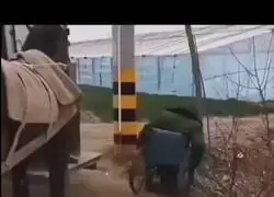 Resumen de Steel Ball Run