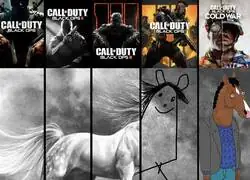 &iquest;Qu&eacute; le han hecho a Black Ops?