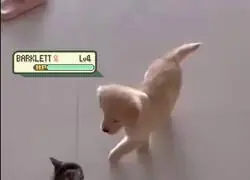 &Eacute;pica batalla Pok&eacute;mon