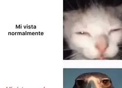 &laquo;&iquest;eso se ha movido o es un bug?&raquo;